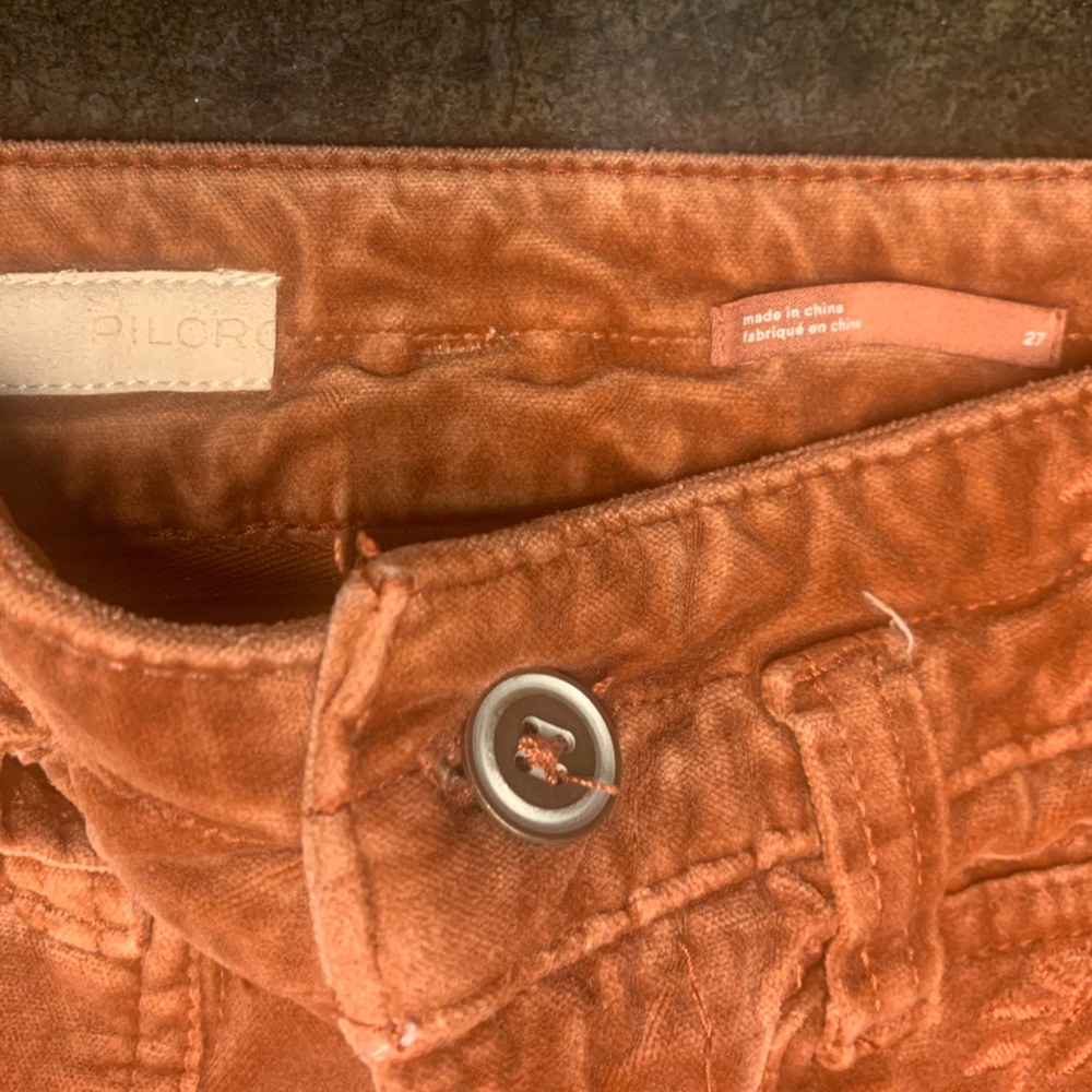 Pilcro Rust/Copper Velvet Embroidered Pants, 27 - Picture 5 of 8